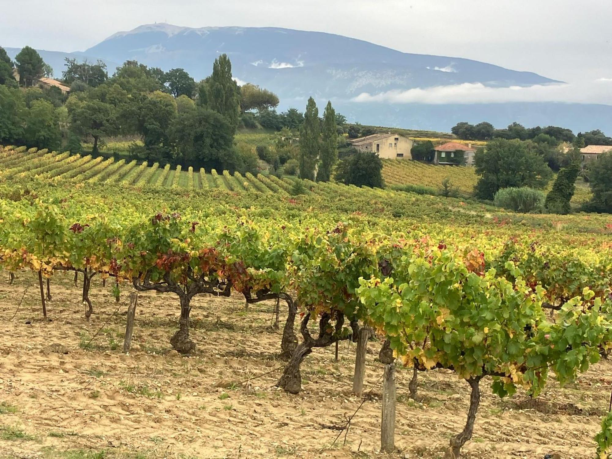 La Clairiere Villa Pierrelongue Eksteriør bilde