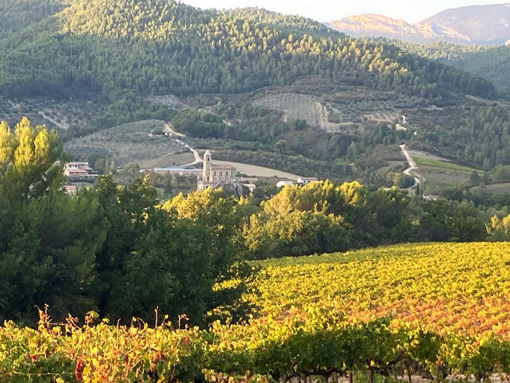 La Clairiere Villa Pierrelongue Eksteriør bilde